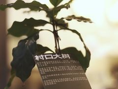 -村口大树(长乐路店)