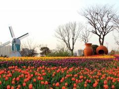 -渡海小渔村.老辈日照菜