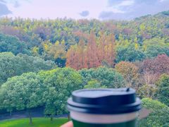 -上海佘山世茂艾美酒店