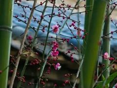 -红石寨旅游度假区