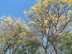 -广州市白云山风景名胜区