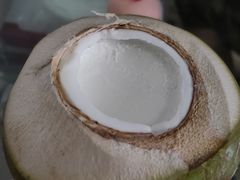 -志龙皇冠吃货椰子铺