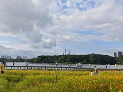 -海珠湖公园