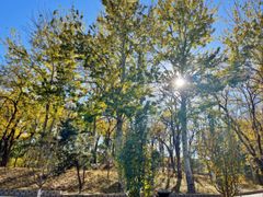 -元大都城垣遗址公园