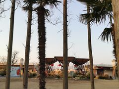 -上海长兴岛郊野公园