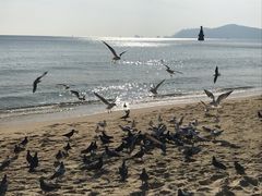 -海云台海滩