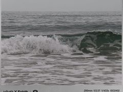 -元素中餐厅.海南菜.粤菜.椰子鸡.海鲜.包房.石梅湾威斯汀度假酒店