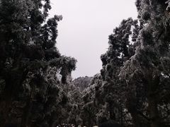 -南岳大庙