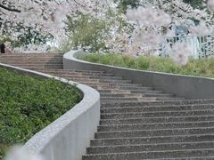 -杭州少年儿童公园