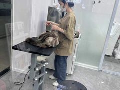 -爱洗澡的猫(天河路店)
