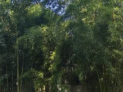 -宣武艺园