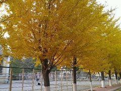 -辽宁大学(崇山校区)