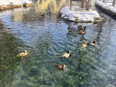 -水磨沟公园
