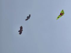 -蠡湖大桥公园