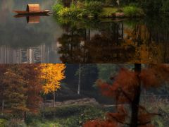 -重庆彩云湖湿地公园