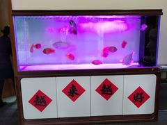 -宁海食府(大剧院店)