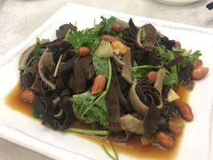 捞起黑牛柏叶-汇兴源餐馆(小北路店)
