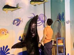 -太平洋海底世界