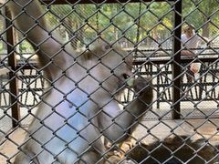 -长白岛森林公园