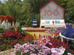-深圳仙湖植物园