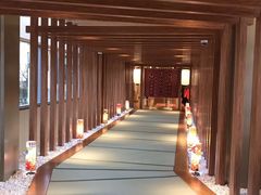 -重庆南山海昌汤都