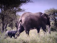 -广东科学中心科技影院