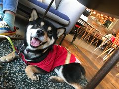 -the rug 飞毯 (朝阳公园店)