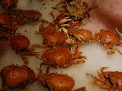 -甄品麦哲伦海鲜和牛自助(万达广场店)