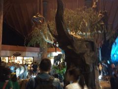 -清迈夜间动物园