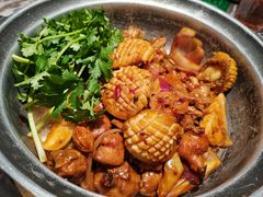 -禄婶鸡煲·打边炉