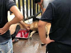 -好江南农庄·农家乐