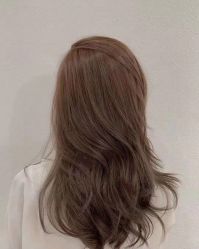 -环球蝶上美业连锁