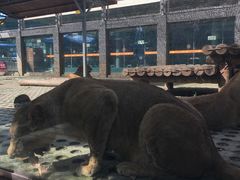 -西安秦岭野生动物园