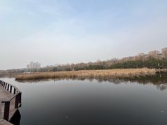 -前关湿地公园