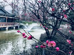 -南京国际会议大酒店