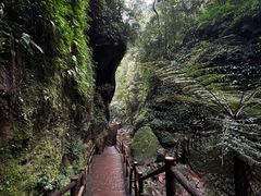 -赤水丹霞旅游区·佛光岩