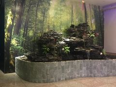 -ventus spa 沙巴亚庇正宗精油按摩会所