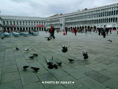 -圣马尔谷圣殿宗主教座堂