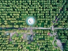 -黄海国家森林公园