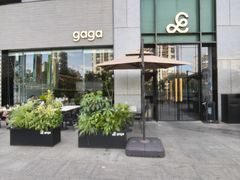 -gaga(北京新中关购物中心店)