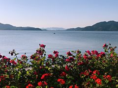 -余姚四明湖开元名都度假酒店·夏威夷西餐厅