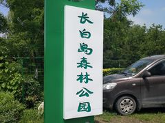 -长白岛森林公园