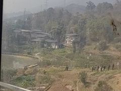 -缙云山景区