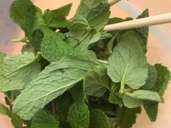 -攀枝花·任德琼·盐边羊肉米线