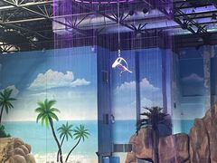 -华夏文旅西安度假区