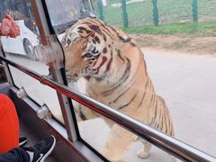 -西安秦岭野生动物园