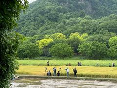 -八卦田遗址公园