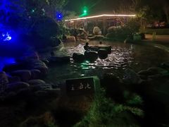 -航空小镇温泉