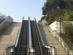 -东方体育中心(地铁站)