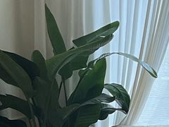 -观心实验室·心理咨询(徐汇店)